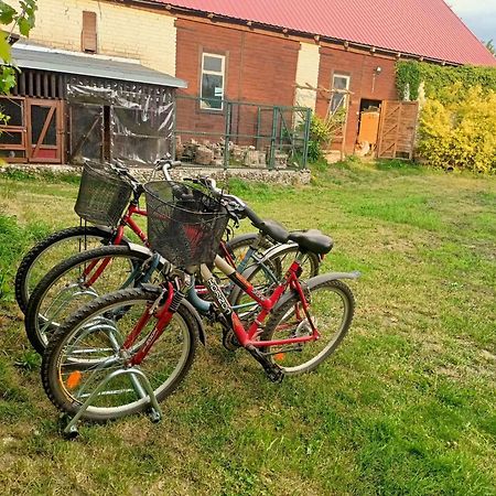 Malinowy Gaj - Agroturystyka Z Alpakami I Innymi Zwierzetami Swietajno  Bagian luar foto