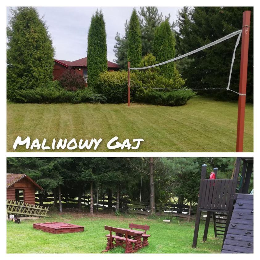Malinowy Gaj - Agroturystyka Z Alpakami I Innymi Zwierzetami Swietajno  Bagian luar foto