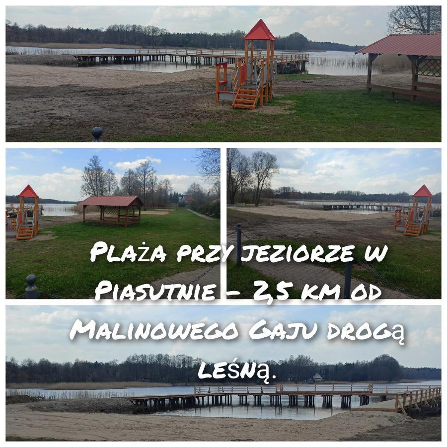 Malinowy Gaj - Agroturystyka Z Alpakami I Innymi Zwierzetami Swietajno  Bagian luar foto