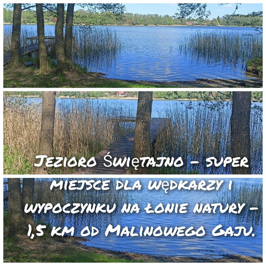 Malinowy Gaj - Agroturystyka Z Alpakami I Innymi Zwierzetami Swietajno  Bagian luar foto