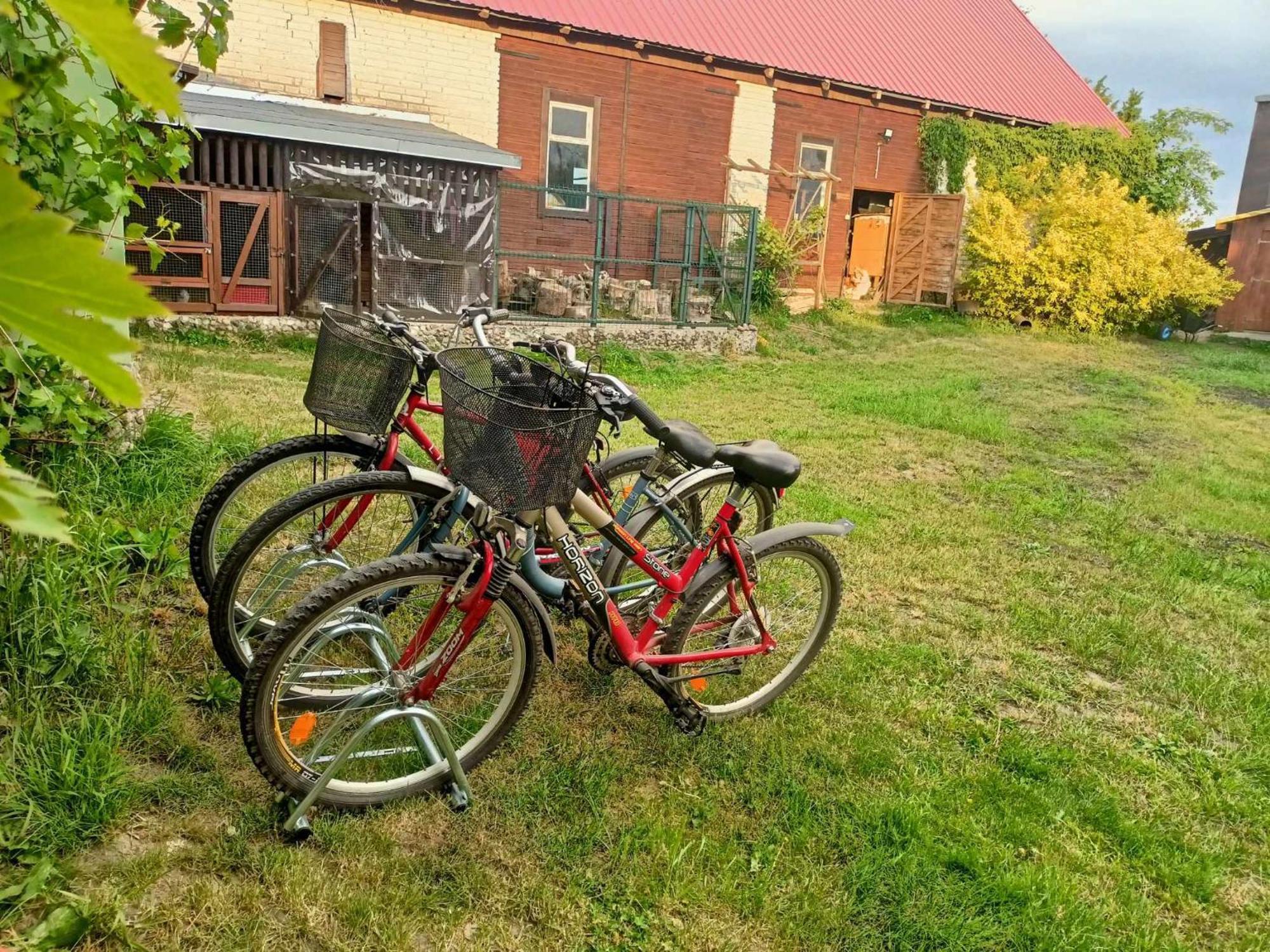 Malinowy Gaj - Agroturystyka Z Alpakami I Innymi Zwierzetami Swietajno  Bagian luar foto