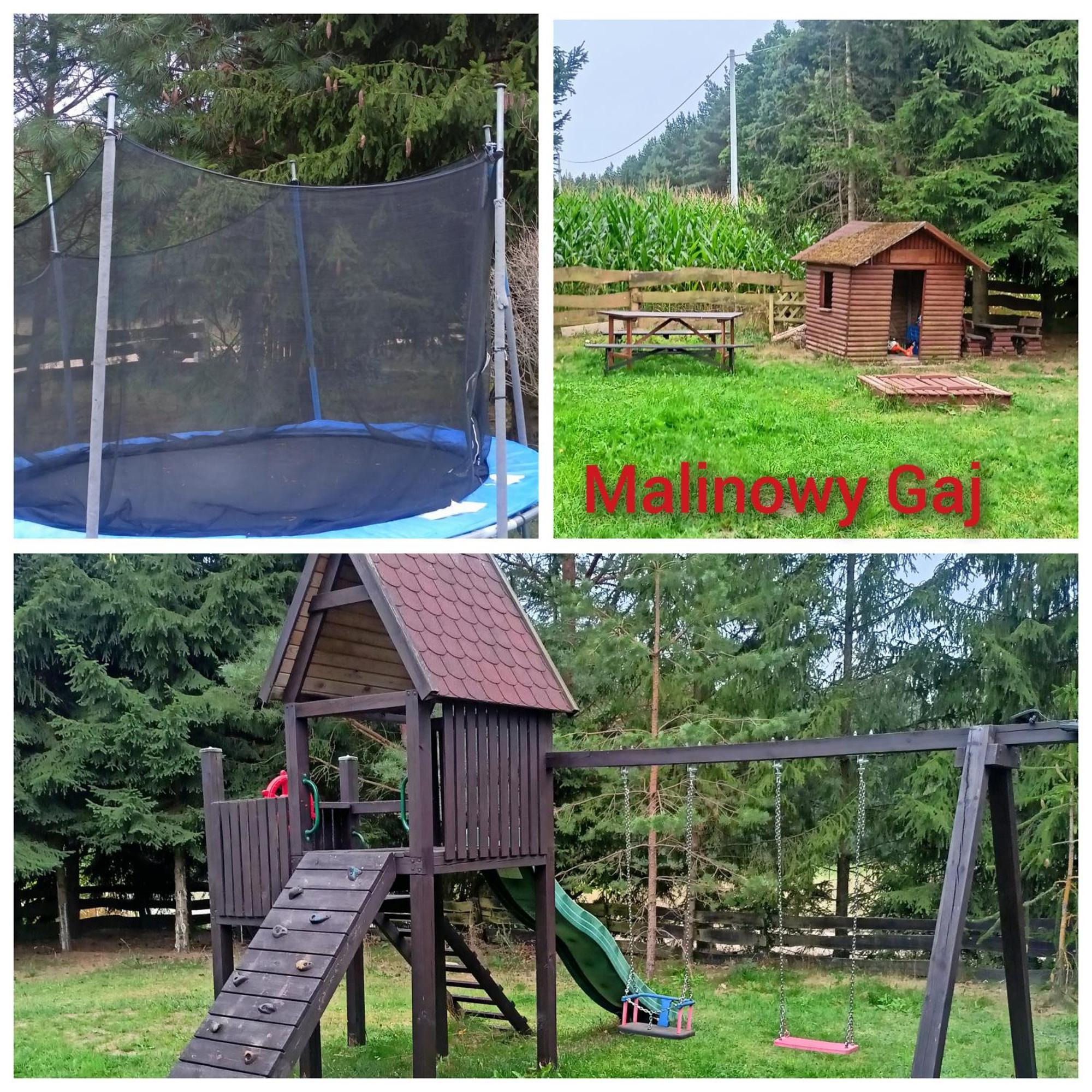 Malinowy Gaj - Agroturystyka Z Alpakami I Innymi Zwierzetami Swietajno  Bagian luar foto